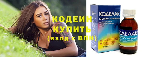 2c-b Инсар