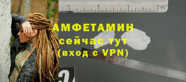 крисы Инта