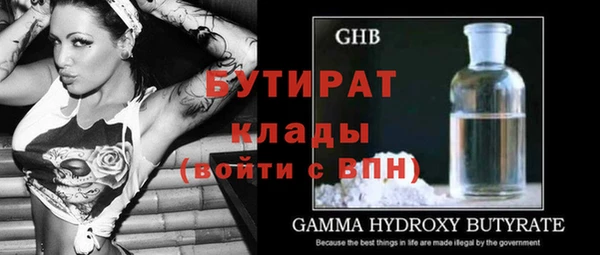 крисы Инта
