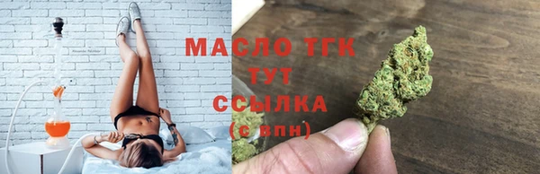 крисы Инта