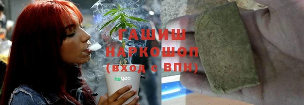 крисы Инта