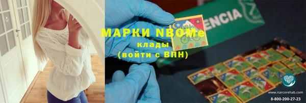 2c-b Инсар