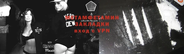 крисы Инта