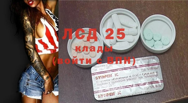 крисы Инта
