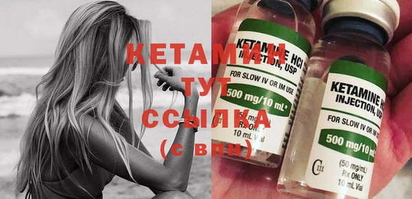 крисы Инта