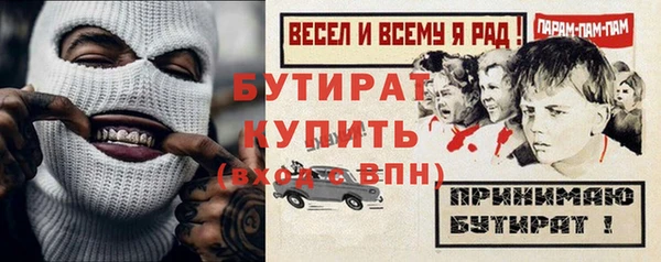 2c-b Инсар