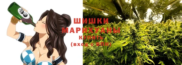 2c-b Инсар