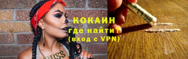 крисы Инта
