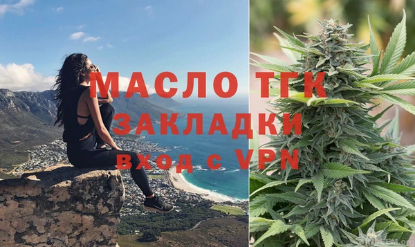 2c-b Инсар