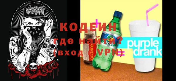 крисы Инта